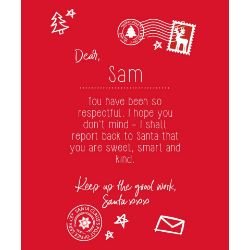 The Christmas Shop Personalisable Kids Letter To Santa Tee